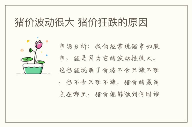 猪价波动很大 猪价狂跌的原因