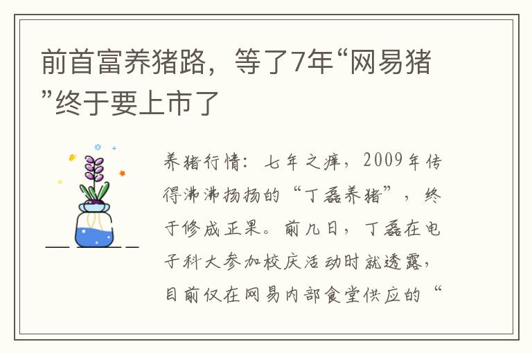 前首富养猪路，等了7年“网易猪”终于要上市了
