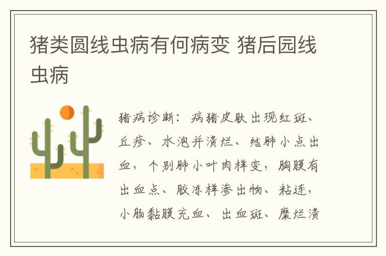 猪类圆线虫病有何病变 猪后园线虫病