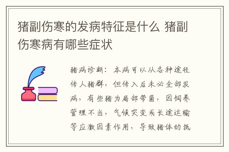 猪副伤寒的发病特征是什么 猪副伤寒病有哪些症状