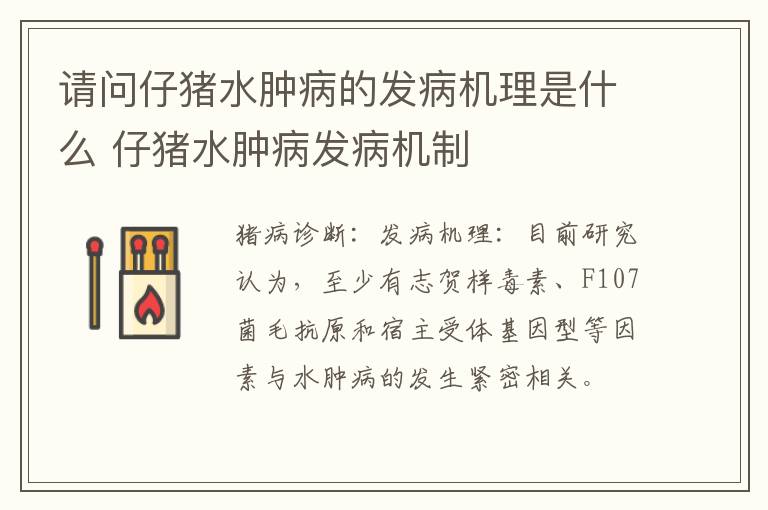 请问仔猪水肿病的发病机理是什么 仔猪水肿病发病机制