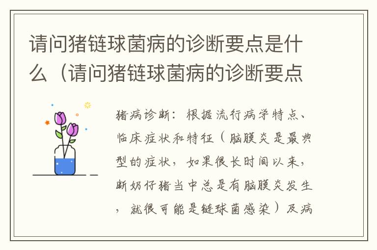 请问猪链球菌病的诊断要点是什么（请问猪链球菌病的诊断要点是什么意思）