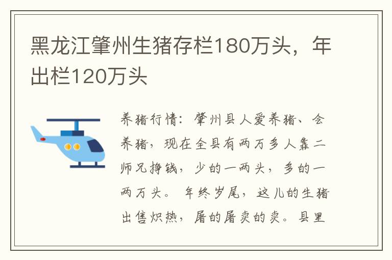 黑龙江肇州生猪存栏180万头，年出栏120万头