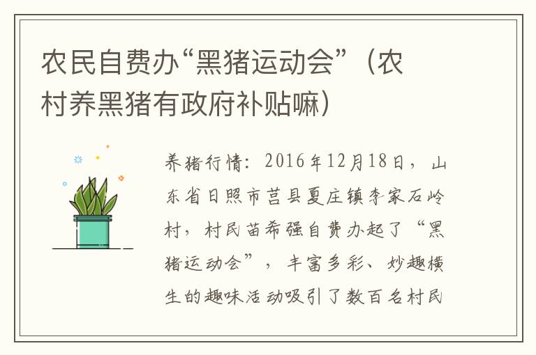 农民自费办“黑猪运动会”（农村养黑猪有政府补贴嘛）