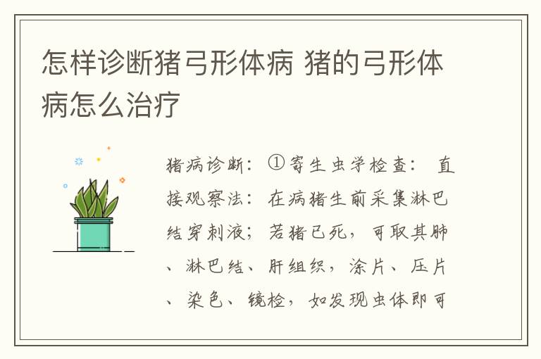 怎样诊断猪弓形体病 猪的弓形体病怎么治疗