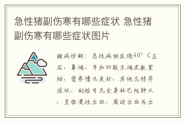 急性猪副伤寒有哪些症状 急性猪副伤寒有哪些症状图片