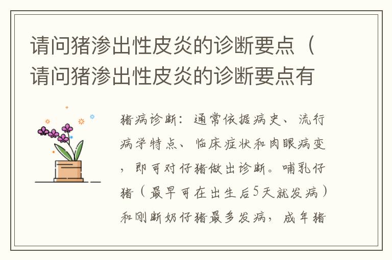 请问猪渗出性皮炎的诊断要点（请问猪渗出性皮炎的诊断要点有哪些）
