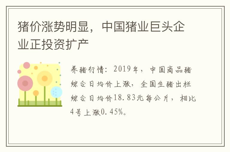 猪价涨势明显，中国猪业巨头企业正投资扩产