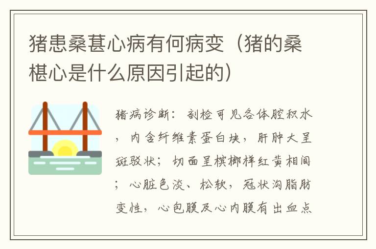 猪患桑葚心病有何病变（猪的桑椹心是什么原因引起的）