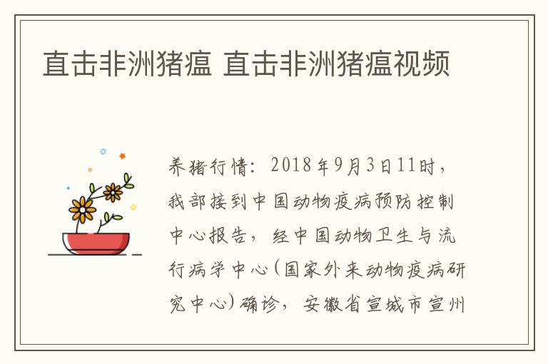 直击非洲猪瘟 直击非洲猪瘟视频