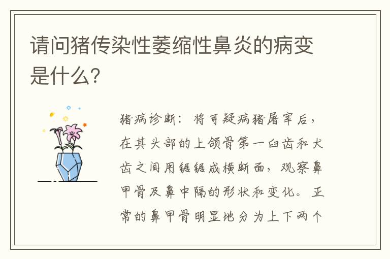 请问猪传染性萎缩性鼻炎的病变是什么？