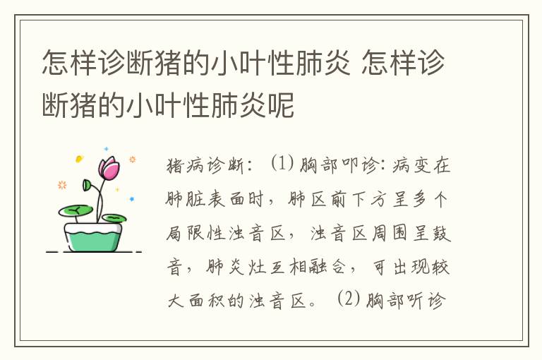 怎样诊断猪的小叶性肺炎 怎样诊断猪的小叶性肺炎呢