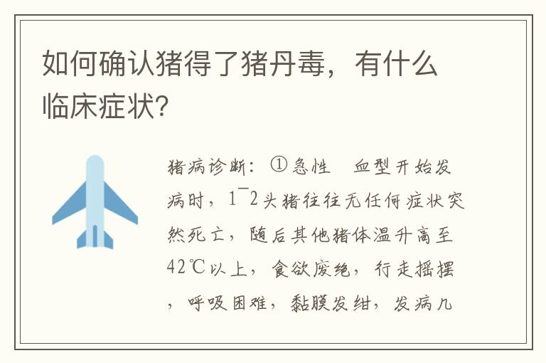 如何确认猪得了猪丹毒，有什么临床症状？