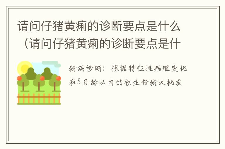 请问仔猪黄痢的诊断要点是什么（请问仔猪黄痢的诊断要点是什么）
