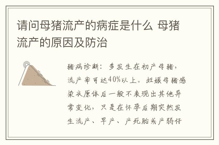 请问母猪流产的病症是什么 母猪流产的原因及防治