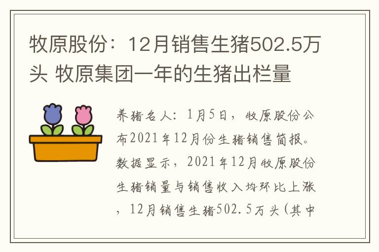 牧原股份：12月销售生猪502.5万头 牧原集团一年的生猪出栏量