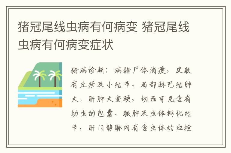 猪冠尾线虫病有何病变 猪冠尾线虫病有何病变症状
