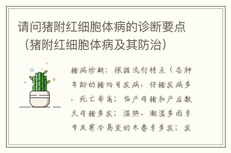 请问猪附红细胞体病的诊断要点（猪附红细胞体病及其防治）