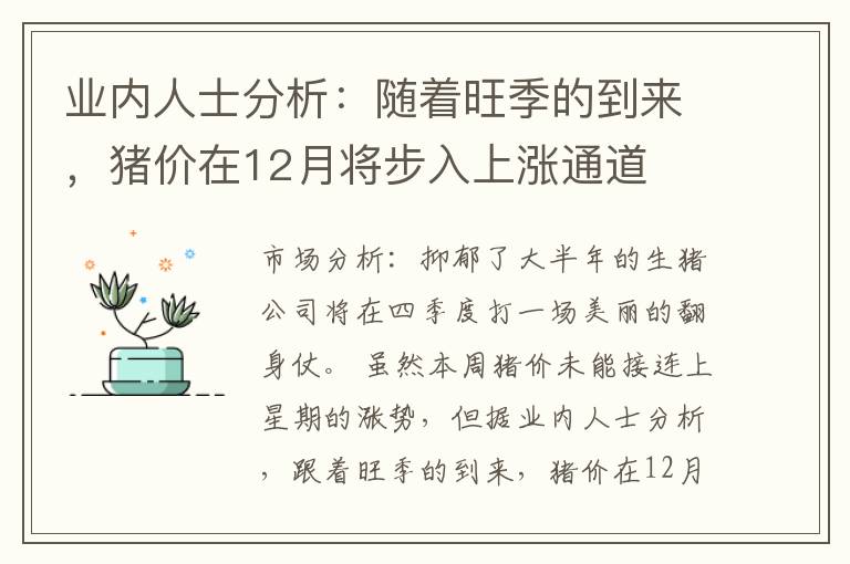 业内人士分析:随着旺季的到来,猪价在12月将步入上涨通道