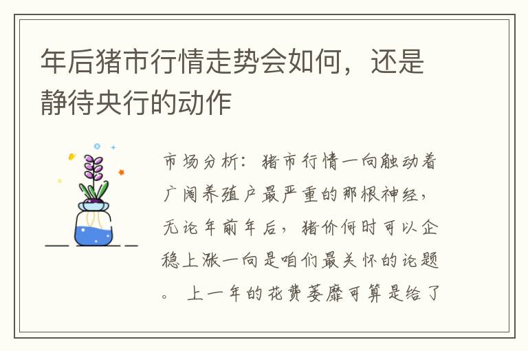 年后猪市行情走势会如何，还是静待央行的动作