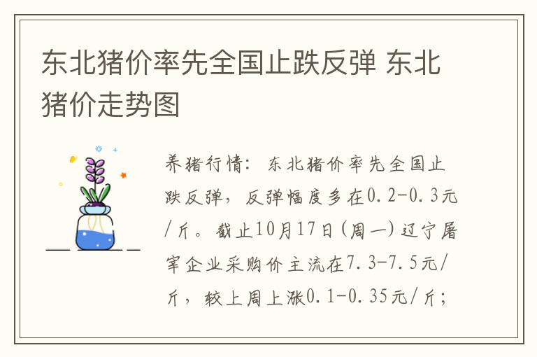 东北猪价率先全国止跌反弹 东北猪价走势图