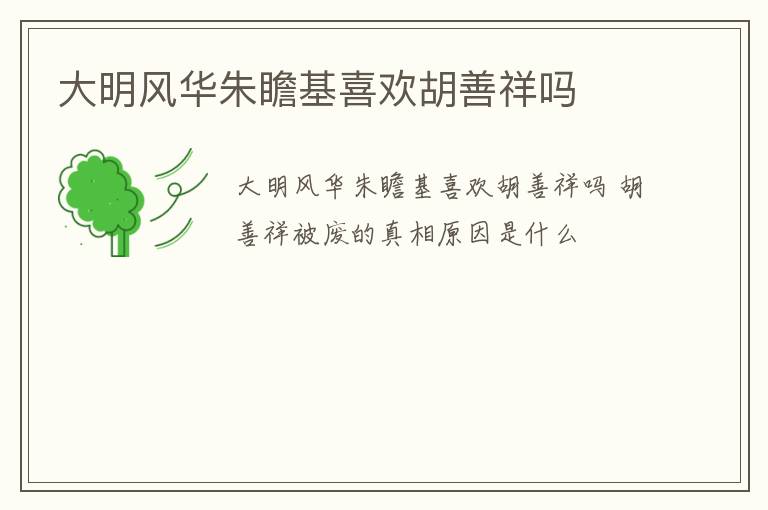 大明风华朱瞻基喜欢胡善祥吗