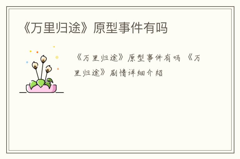 《万里归途》原型事件有吗