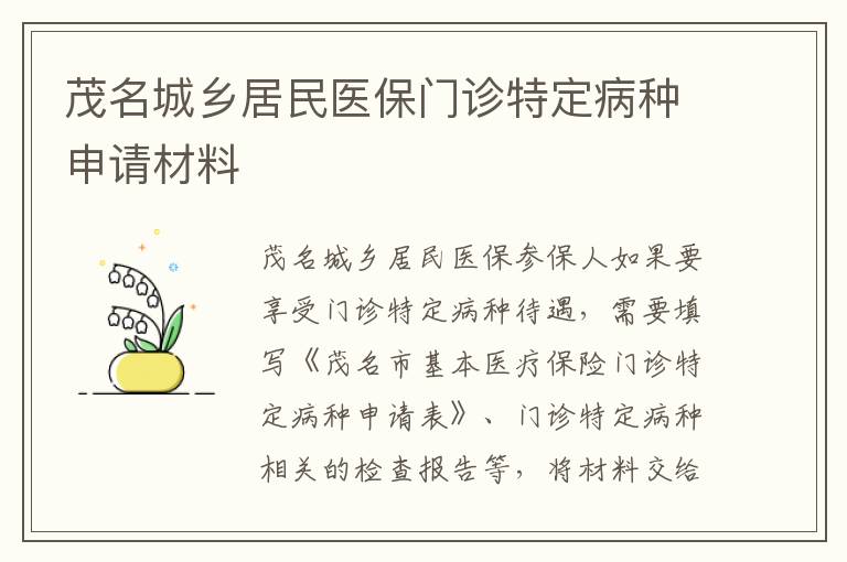 茂名城乡居民医保门诊特定病种申请材料