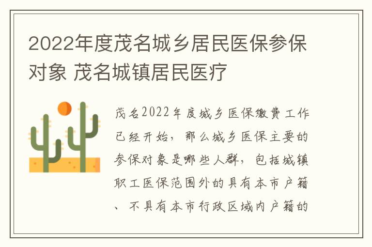 2022年度茂名城乡居民医保参保对象 茂名城镇居民医疗