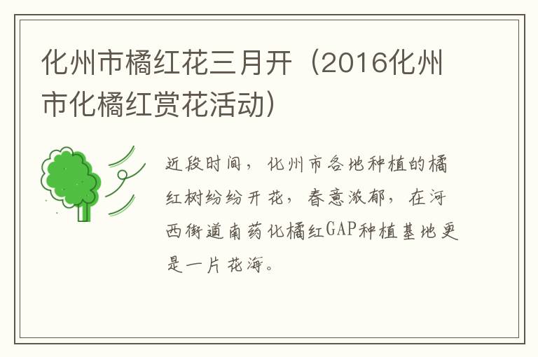 化州市橘红花三月开（2016化州市化橘红赏花活动）