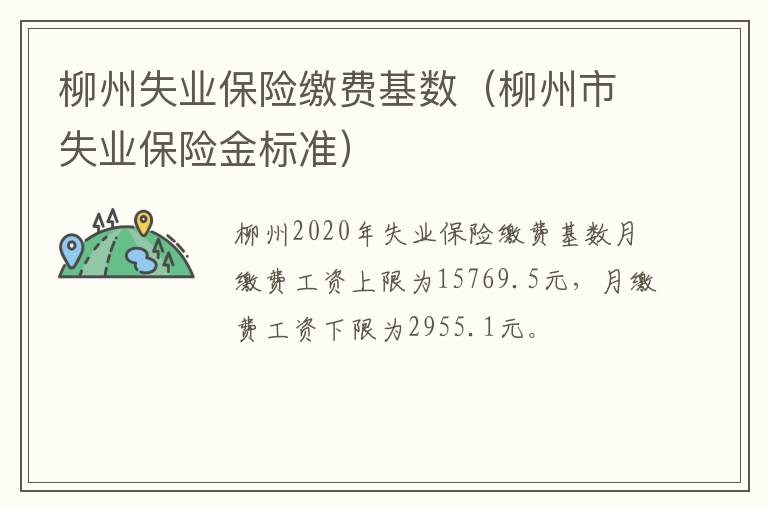 柳州失业保险缴费基数（柳州市失业保险金标准）