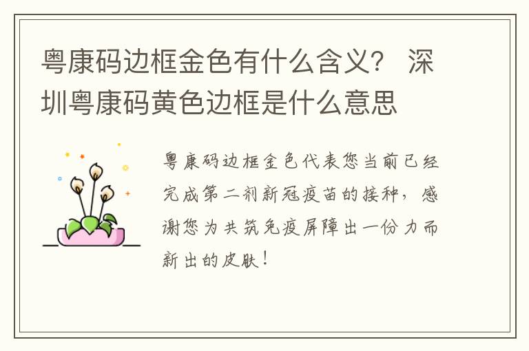 粤康码边框金色有什么含义？ 深圳粤康码黄色边框是什么意思