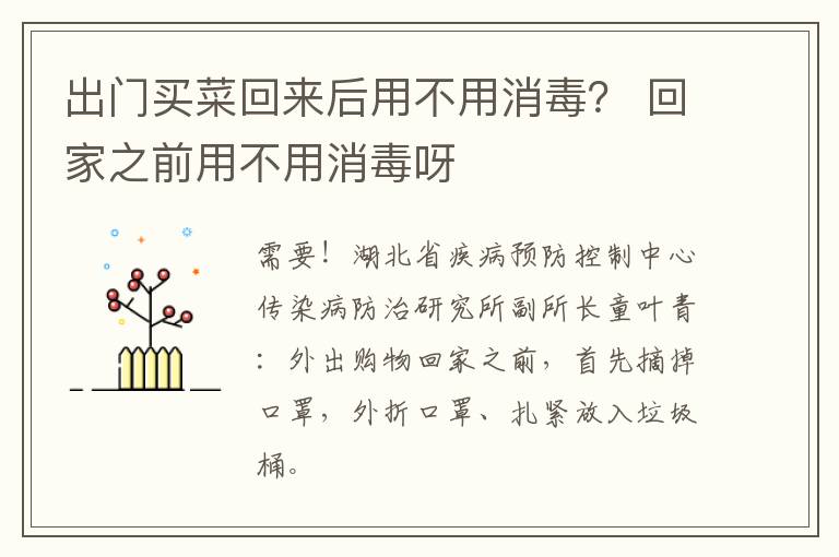 出门买菜回来后用不用消毒？ 回家之前用不用消毒呀