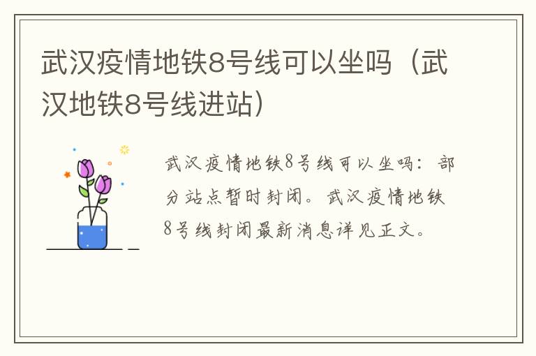 武汉疫情地铁8号线可以坐吗（武汉地铁8号线进站）