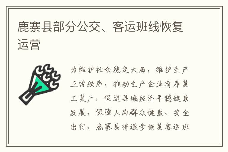 鹿寨县部分公交、客运班线恢复运营