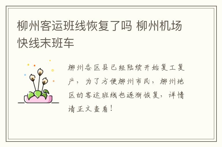 柳州客运班线恢复了吗 柳州机场快线末班车
