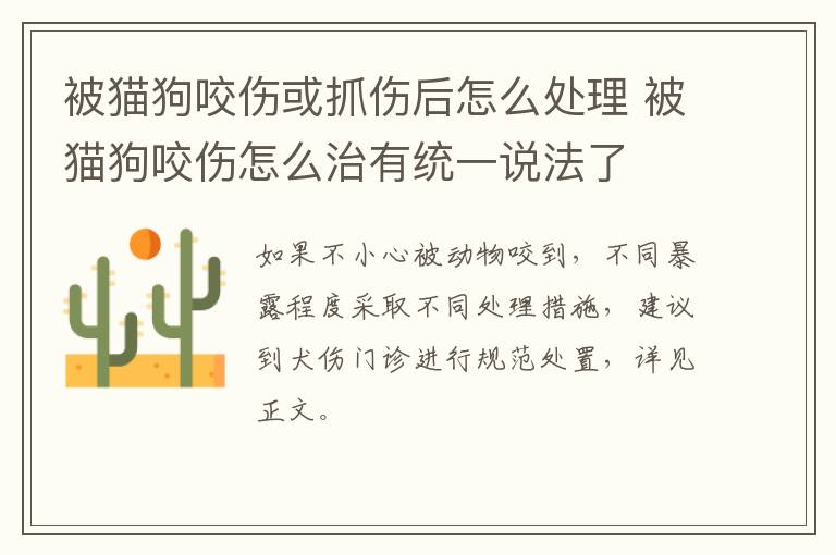 被猫狗咬伤或抓伤后怎么处理 被猫狗咬伤怎么治有统一说法了
