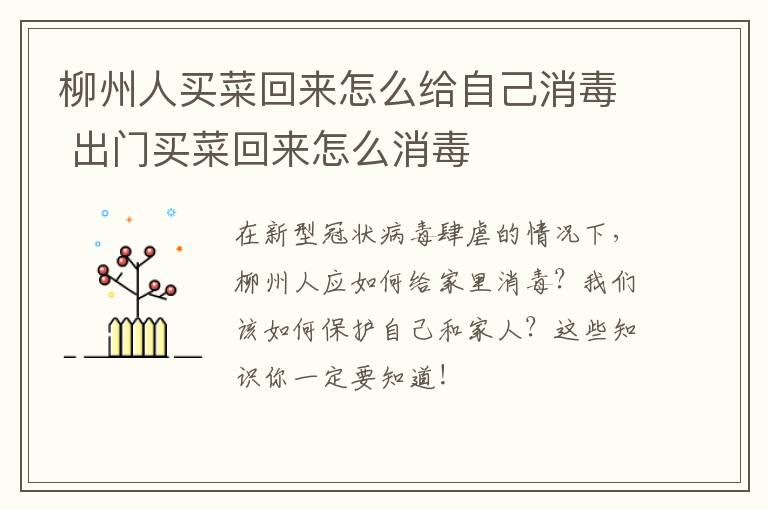 柳州人买菜回来怎么给自己消毒 出门买菜回来怎么消毒