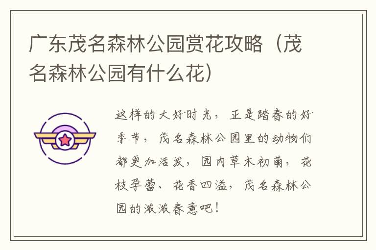 广东茂名森林公园赏花攻略(茂名森林公园有什么花)