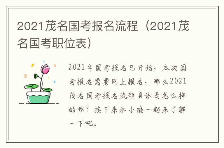 2021茂名国考报名流程（2021茂名国考职位表）