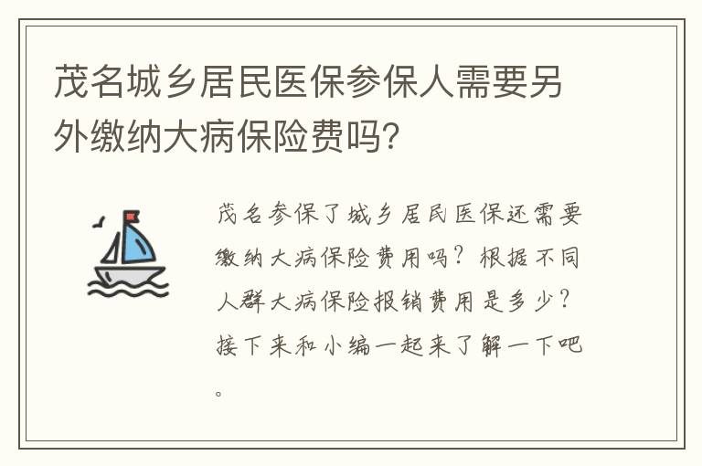 茂名城乡居民医保参保人需要另外缴纳大病保险费吗？