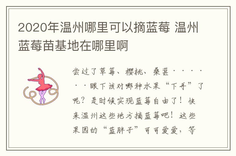 2020年温州哪里可以摘蓝莓 温州蓝莓苗基地在哪里啊