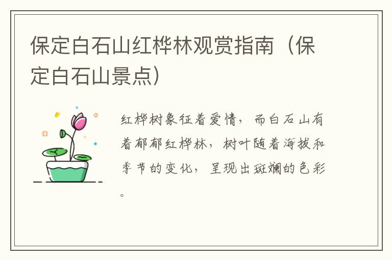 保定白石山红桦林观赏指南（保定白石山景点）