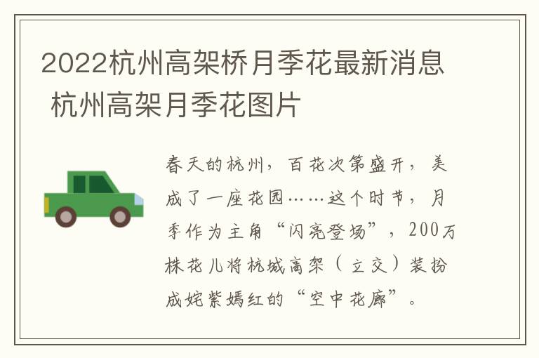 2022杭州高架桥月季花最新消息 杭州高架月季花图片