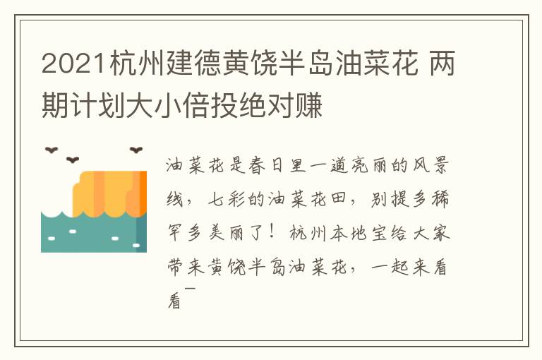2021杭州建德黄饶半岛油菜花 两期计划大小倍投绝对赚