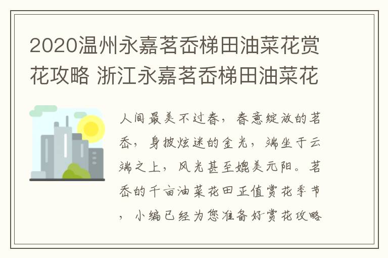 2020温州永嘉茗岙梯田油菜花赏花攻略 浙江永嘉茗岙梯田油菜花