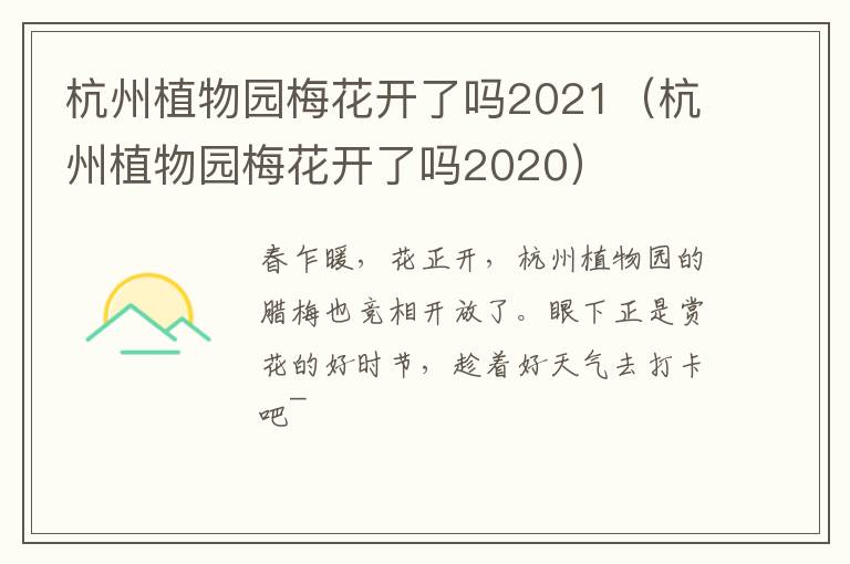 杭州植物园梅花开了吗2021（杭州植物园梅花开了吗2020）