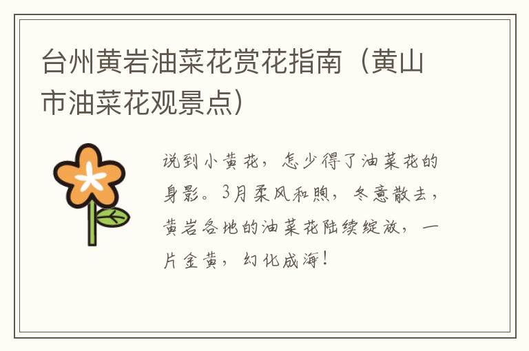 台州黄岩油菜花赏花指南（黄山市油菜花观景点）