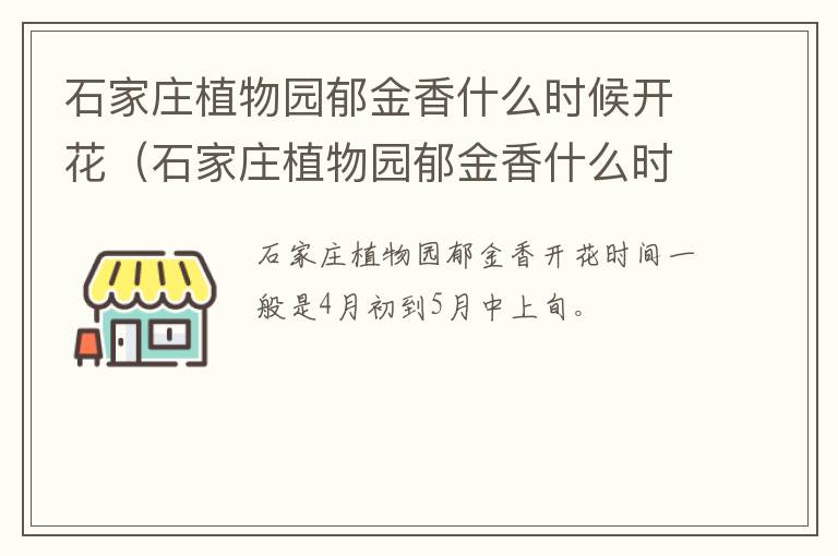 石家庄植物园郁金香什么时候开花（石家庄植物园郁金香什么时候开花呀）
