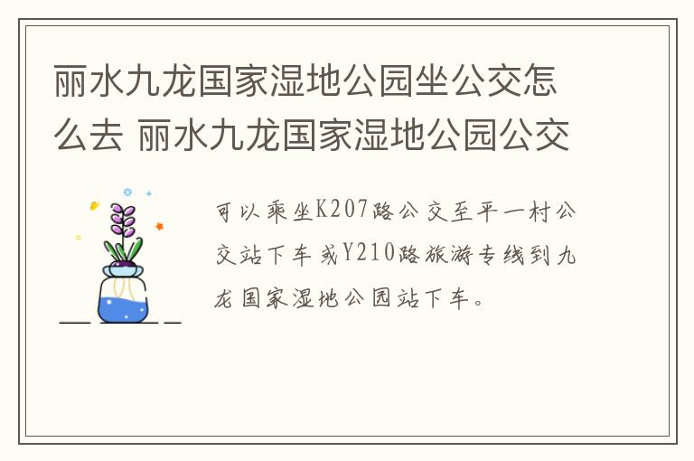 丽水九龙国家湿地公园坐公交怎么去 丽水九龙国家湿地公园公交车